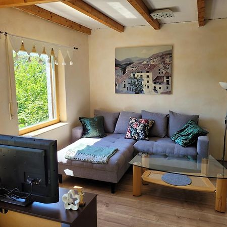 Ferienwohnung Im Haus Waldblick Nonnweiler المظهر الخارجي الصورة